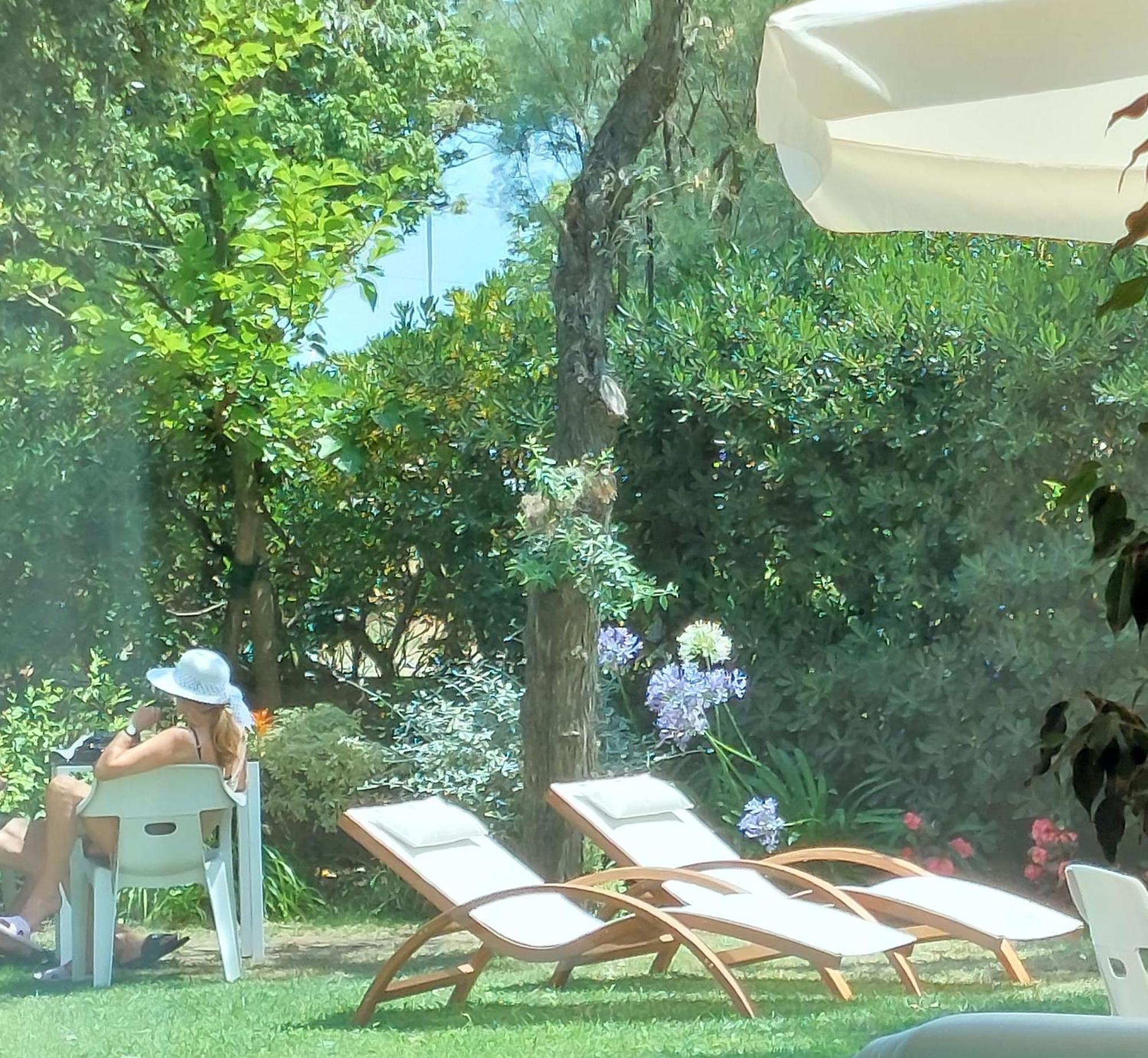 Hotel Astor B&B Lido di Classe Buitenkant foto